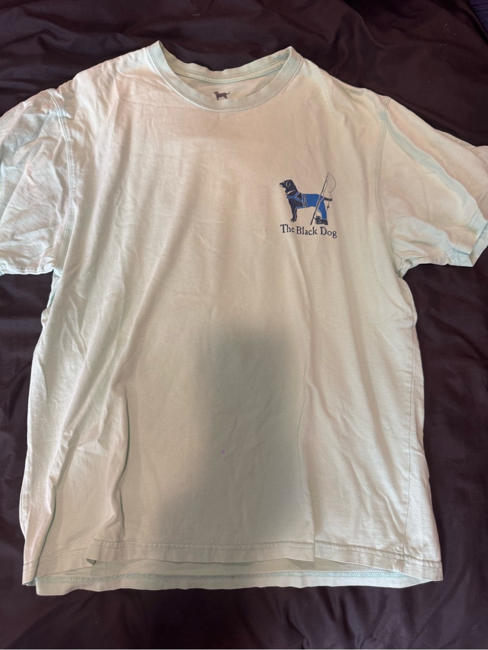 The Black Dog Mint Green Tee with Navy Logo